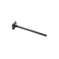 Case Engines (Gas, LP) Intake Valve (251, A251, 377, A377) Case Engines (Gas, LP) Intake Valve (251, A251, 377, A377)