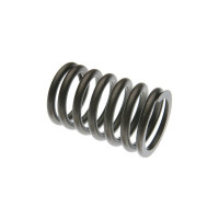 Case Engines (Gas, Diesel) Valve Spring (A251B, 267BD, A301B, 301BD, 336BD, 336BDT, A377B, 401BD, 401BDT, 451BD, 451BDT, 504BD,