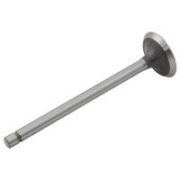 International Engines (Gas, LP) - Intake Valve | Gasoline (C164, C175, C169) International Engines (Gas, LP) - Intake Valve | Gasoline (C164, C175, C169)