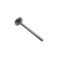 International Engines (Gas, LP) Exhaust Valve, Distillate (5.39" OAL) (C248, C264, C281) International Engines (Gas, LP) Exhaust Valve, Distillate (5.39" OAL) (C248, C264, C281)