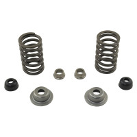 Ford Engines (Diesel) Spring/Retainer Kit (Includes Springs, Retainers, Seals) (158, 175, 183, 192, 201, 233, 256, 268, 304, 40 Ford Engines (Diesel) Spring/Retainer Kit (Includes Springs, Retainers, Seals) (158, 175, 183, 192, 201, 233, 256, 268, 304, 40