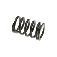 Ford Engines (Gas) Exhaust Valve Spring, with Positive Rotator (134, 172, 192) Ford Engines (Gas) Exhaust Valve Spring, with Positive Rotator (134, 172, 192)