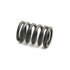 Ford Engines (Gas, Diesel) Valve Spring, Industrial Engines (1.460" OD) (172, 192)