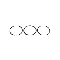 Ford Engines (Diesel) Standard Ring Set (BSD444 (9, 90-7, 96), 5.0L (11, 91-UP), 97-UP), BSD666 (11, 91-12, 98), 7.5L (11, 91-5 Ford Engines (Diesel) Standard Ring Set (BSD444 (9, 90-7, 96), 5.0L (11, 91-UP), 97-UP), BSD666 (11, 91-12, 98), 7.5L (11, 91-5