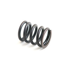 Image to represent Perkins | Caterpillar Engines (Diesel) Valve Spring (1.860" Free Length) (243, 365)