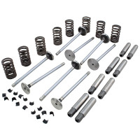 Case Engines (Diesel) Valve Train Kit (188D, 207D)