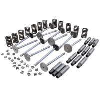 Case Engines (Diesel) Basic Valve Kit (504BDT, 504BDTI)
