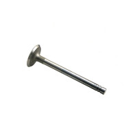 Intake Valve Waukesha 190GLB Gas | LP Engines Intake Valve Waukesha 190GLB Gas | LP Engines