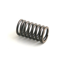 Image to represent Wisconsin Engines (Gas) Exhaust Spring, Stellite Valves without Rotators (1.969" Free Length) (108, 154, 177, 54, 92)