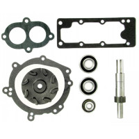 Massey Ferguson 1100 Tractor Water Pump Repair Kit | 8301256 | see details