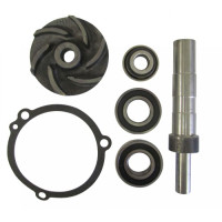 Massey Ferguson 70 Backhoe Water Pump Repair Kit Massey Ferguson 70 Backhoe Water Pump Repair Kit