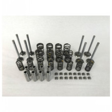 Massey Ferguson 4255 Tractor Valve Train Kit