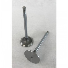 John Deere 6068D, Liter Designated Engine Intake Valve - .015 inch John Deere 6068D, Liter Designated Engine Intake Valve - .015 inch