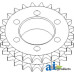 Case | Case-IH 1063 Corn Head Sprocket Assy.; Main Drive