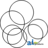 Case | Case-IH 595 Tractor Brake O-Ring Kit, Brake Piston and Differential Bearing Carrier