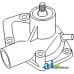 Fiat | Hesston 431 Tractor Pump, Water (with 615.000 ENGINE)