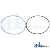 Case | Case-IH 5220 Tractor Seal Ring, Trans Differential Piston External