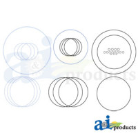 Case | Case-IH 4894 Tractor Seal Kit-Clutch Repair