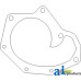 Gasket, Water Pump Backplate fits John Deere 1830 Tractor
