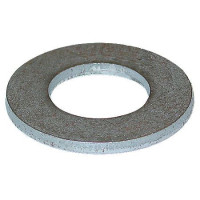 Ford Rear Axle Hub Washer (FDS255)