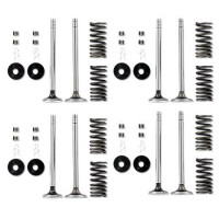 International Harvester LP High Compression Valve Train Kit (IHS2227) International Harvester LP High Compression Valve Train Kit (IHS2227)
