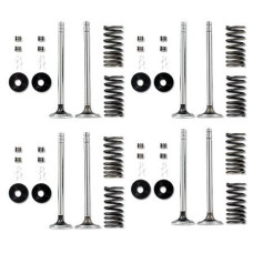 International Harvester LP High Compression Valve Train Kit (IHS2227) International Harvester LP High Compression Valve Train Kit (IHS2227)